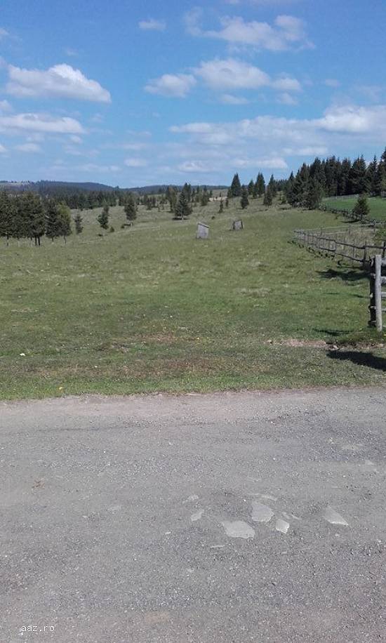 Teren de vanzare in Loc Belis Jud Cluj