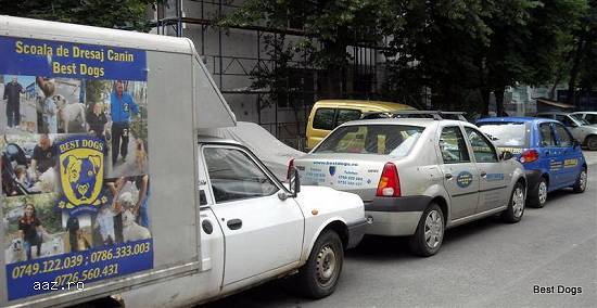 DRESAJ CANIn IEFTIN La DOMICILIU!