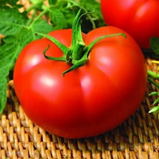 Seminte de tomate Lady Rosa F1
