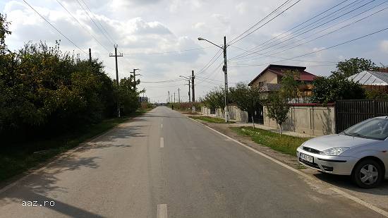 Teren