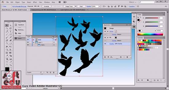 Curs Adobe Illustrator CC
