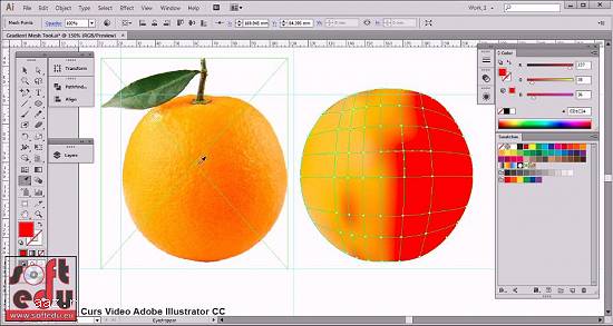 Curs Adobe Illustrator CC