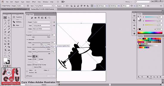 Curs Adobe Illustrator CC