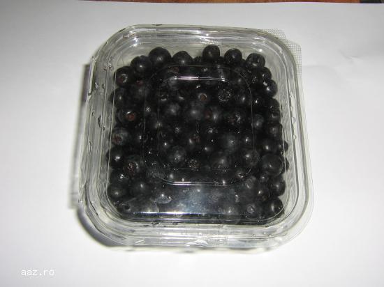 Vand fructe ARONIA BIO proaspete incepand cu data de 12 august 2019