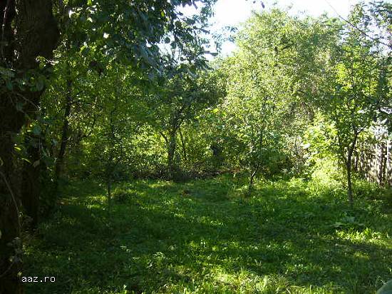 Vand casa Buciumeni