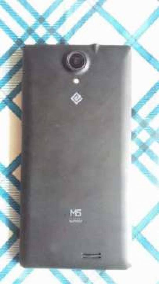 evolio m5