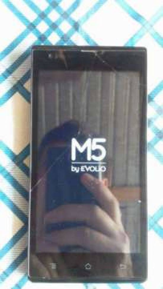 evolio m5