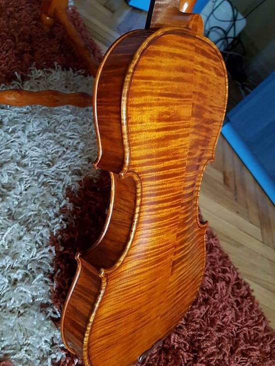Cinci viori deosebite copi dupa Stradivarius stil Torino!