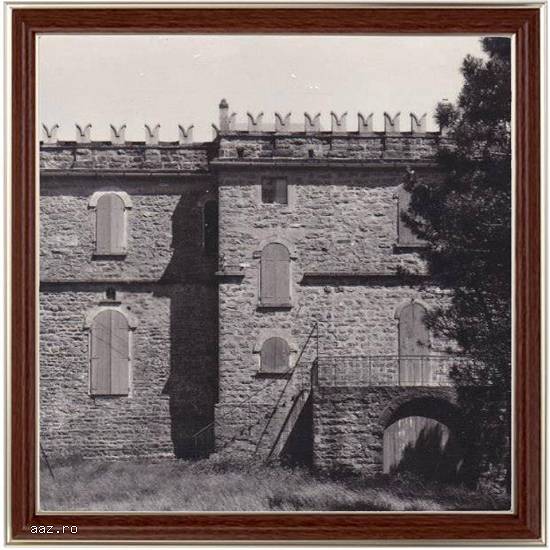 Castelul este disponibil sprevanzare