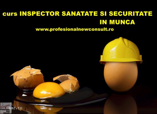 Curs Inspector Sanatate si Securitate in Munca