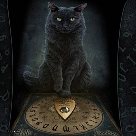 TABLA OUIJA+CADOU SET DE RUNE