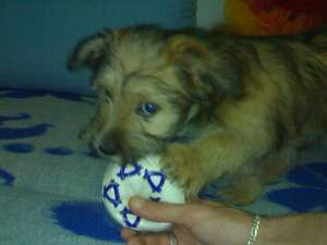 Vand URGENT!