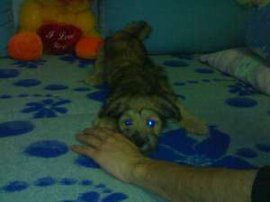 Vand URGENT!