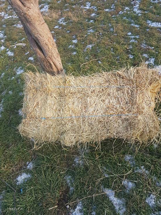 vand 1000 baloti fan amestec(semanat) .balotii au greutatea de 20-25kg