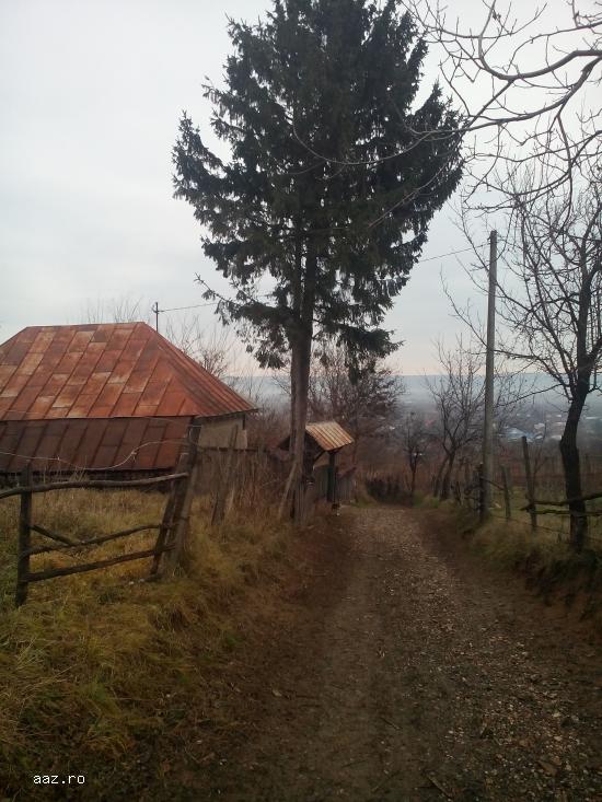 loc de casa bacau sascut