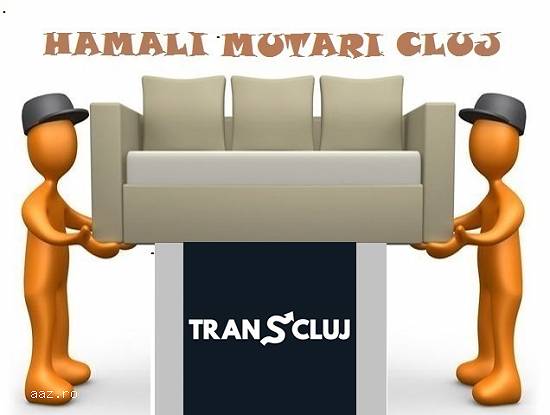 mutari, debarasari, montaj , transport mobila CLUJ