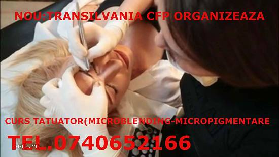 Curs tatuator(microblending-micropigmentare)