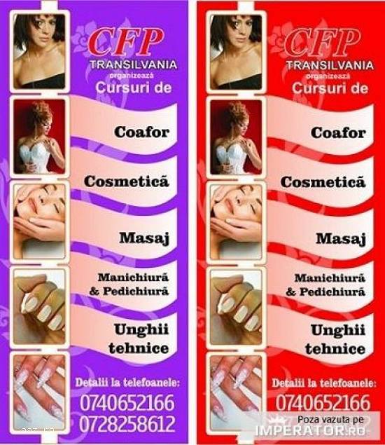 Curs coafor