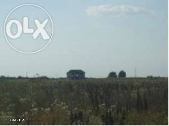 Teren Intravilan Loturi Destinatie Mixta Localitate Copaceni Judet Ilfov