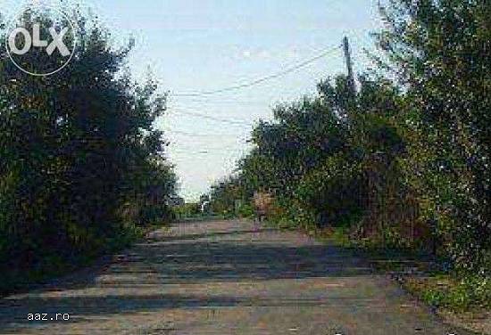 Teren Intravilan Loturi Destinatie Mixta Localitate Copaceni Judet Ilfov
