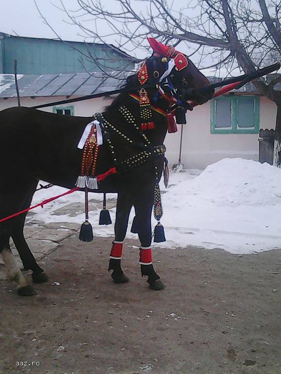 Vand iapa lipitan