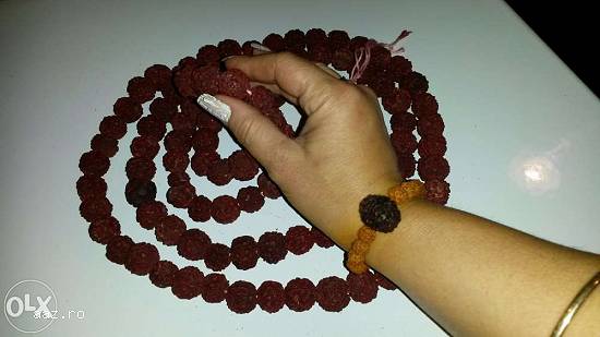 Sămburi rudraksha