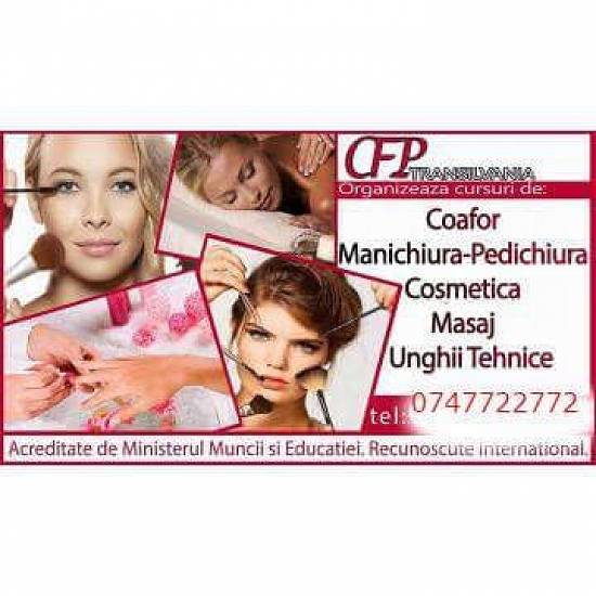 Curs cosmetician