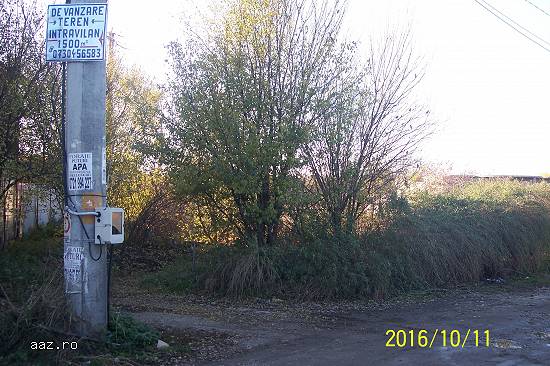 Teren intravilan,    1500 mp,    Toate utilitatile