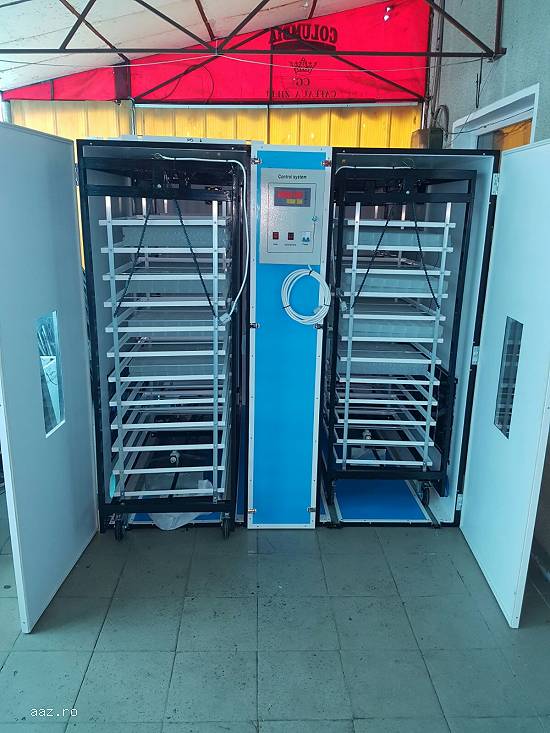 Incubator oua automat