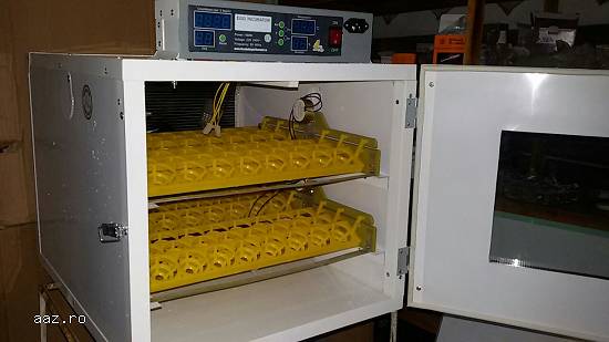 incubator oua prepelita