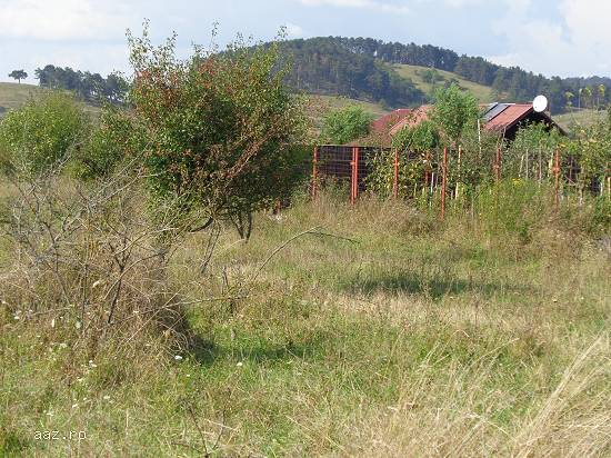 Teren constructii Sanpetru