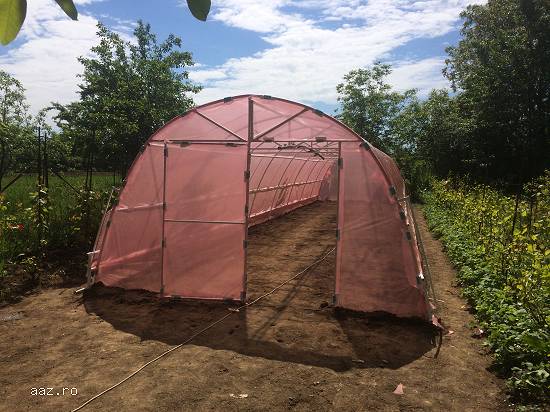 Fabric / Construiesc solare legume fructe