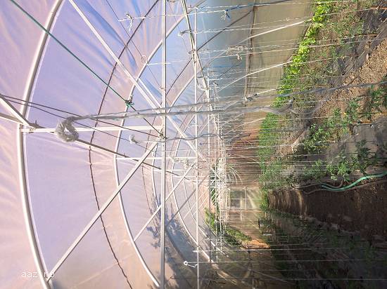 Fabric / Construiesc solare legume fructe