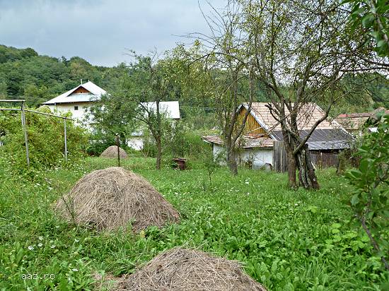 Vand vila Baile Govora,    330 mp,    8 camere,    5300mp teren cu livada si vita vie + casa de vara