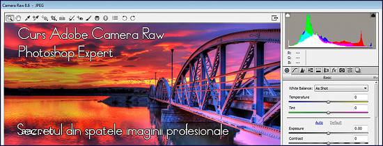 Curs Autocad 3D Studio Max Adobe Photoshop Illustrator Corel Web Design