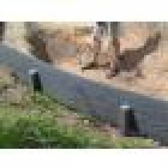 ECOLAT,    cofrag iaz si ECOPIC,    tarus pt cofrag ECOLAT. Promotii!