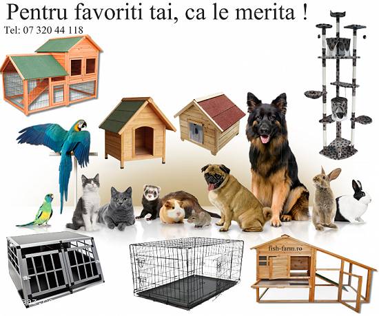 Centru de joaca pentru pisici