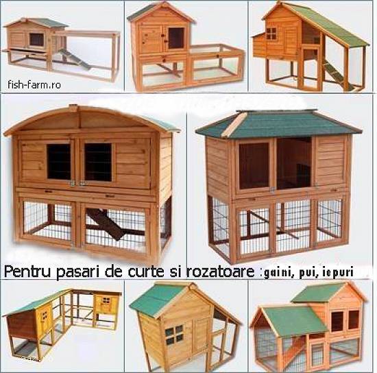 Pista pentru pasari de curte si rozatoare