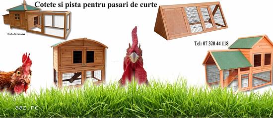 Pista pentru pasari de curte si rozatoare