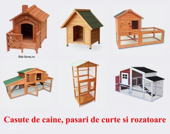 Pista pentru pasari de curte si rozatoare