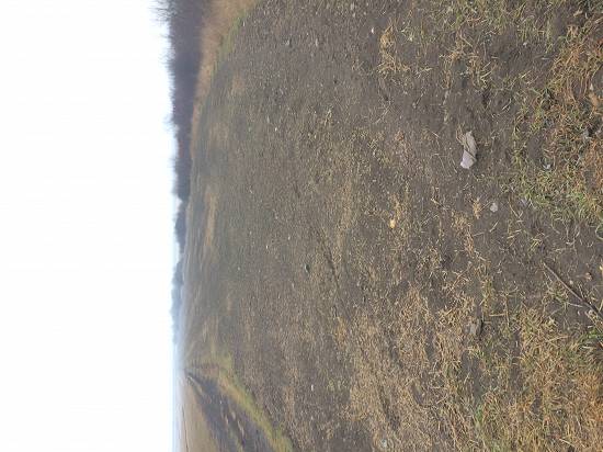 TEREN INTRAVILAN 3,  7ha