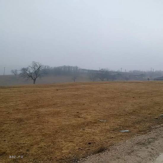 TEREN INTRAVILAN 3,  3ha