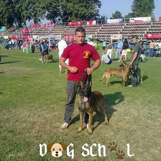 Dresaj canin Bucuresti