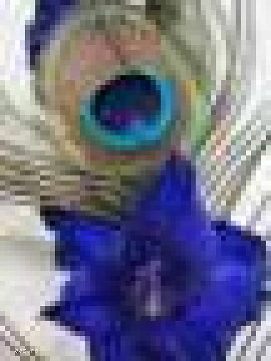 Vand pene paun