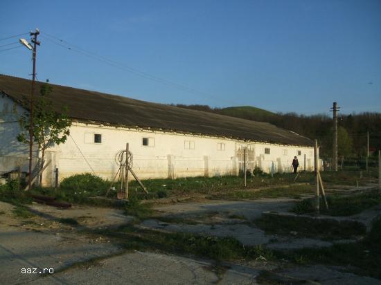 VIND LOCATIE HALE INDUSTRIALE Motoseni BC 2500M2