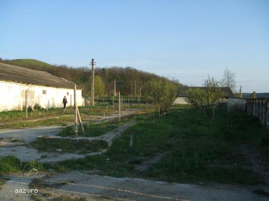 VIND LOCATIE HALE INDUSTRIALE Motoseni BC 2500M2