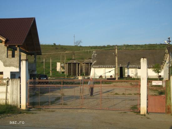 VIND LOCATIE HALE INDUSTRIALE Motoseni BC 2500M2
