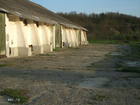 VIND LOCATIE HALE INDUSTRIALE Motoseni BC 2500M2