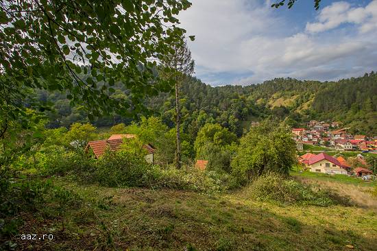 Teren intravilan,   2.500 mp,   pozitie panoramica,   Central,   BV