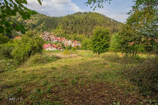 Teren intravilan,   2.500 mp,   pozitie panoramica,   Central,   BV